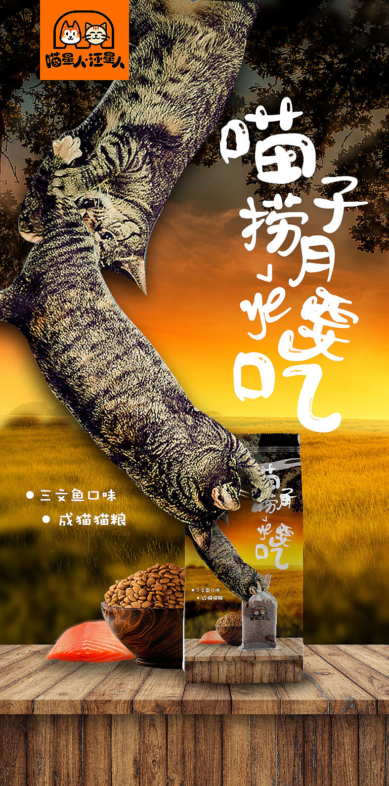 首先第一个系列——“喵星人”食品包装系列，猫咪给人的感觉是傲娇的的是傲娇的，高冷的，其众所周知的特点就是弹跳性和柔韧性极强，对食物也是及其考究。因此本人针对猫咪们的这些属性进行了创意设计。
该包装创意点在于利用了猫的柔韧性特点，在图形主体创意上是有趣的、活泼的。采用了2只猫咪组合，引用了“猴子捞月”的方式，去拿桌子上的那袋三文鱼口味的猫粮。因此来突出该品牌三文鱼口味猫粮的好吃，画面不仅用有趣的方式表达，且强烈突出了猫咪想吃的欲望。让如此傲娇的猫咪采用各种手段只为得到它，既然猫咪如此的钟爱它，那猫主们怎能不拿出钱袋子去购买它呢？同时，在整个创意画面中字体的选择上，采用圆润且粗细不一的手写体，更有律动感。通过文字图形的创意组合该包装更加活泼和具有韵律，从而画面和谐统一，又风趣幽默，律感十足。<br>