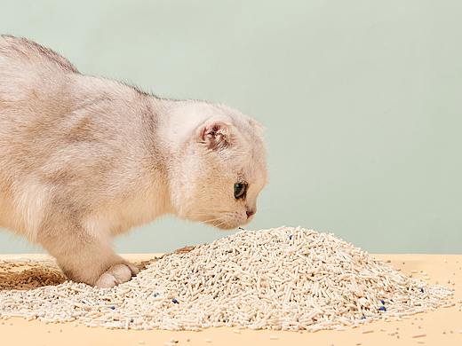猫砂摄影|宠物猫粮摄影|电商摄影|产品摄影×郑州密斯杨