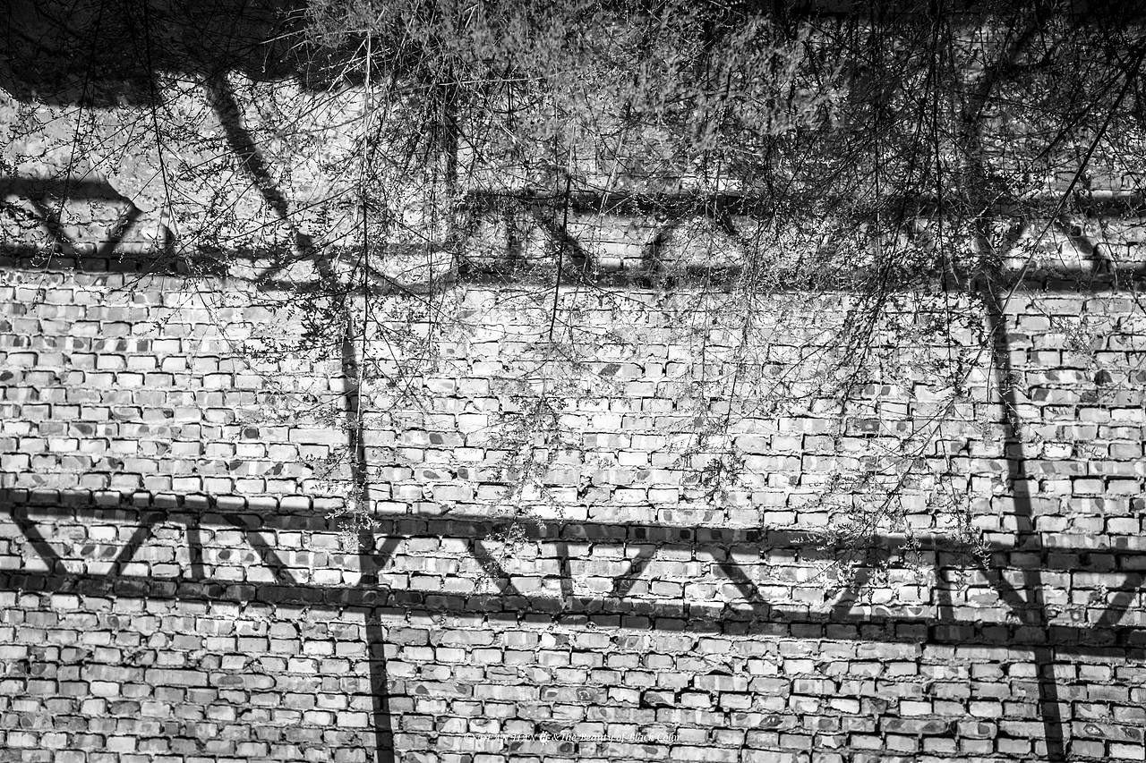 【田石页摄影DEAN】千变万化的风景·