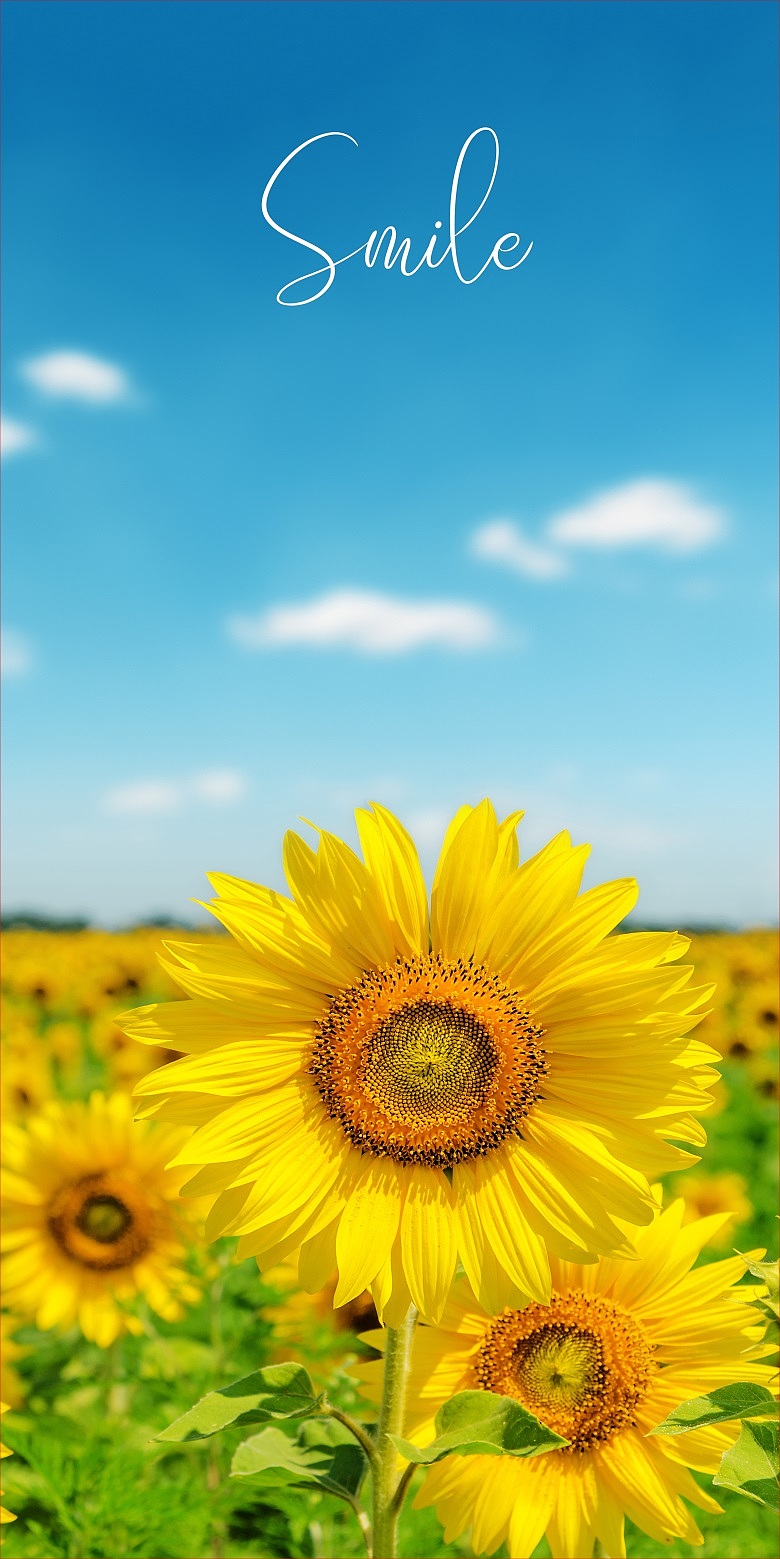 玄关装饰画100副（图ZMjU2NTM3ODUy） - 图案 - 站酷设计师小乐谱原创素材 - 站酷ZCOOL