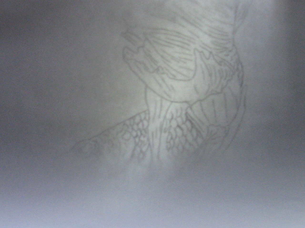 楚歌钢笔画-双鱼（点画）55*40cm（图ZMTU5MzU5NTI=） - 绘画 - 站酷设计师楚歌76原创素材 - 站酷ZCOOL