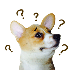 冬菇表情第二弹