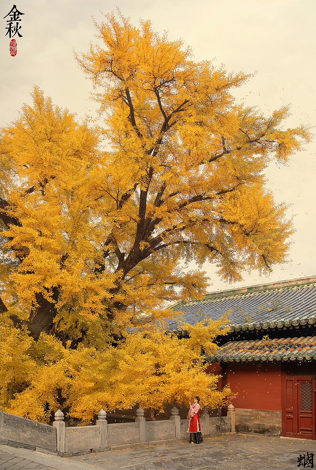 金秋