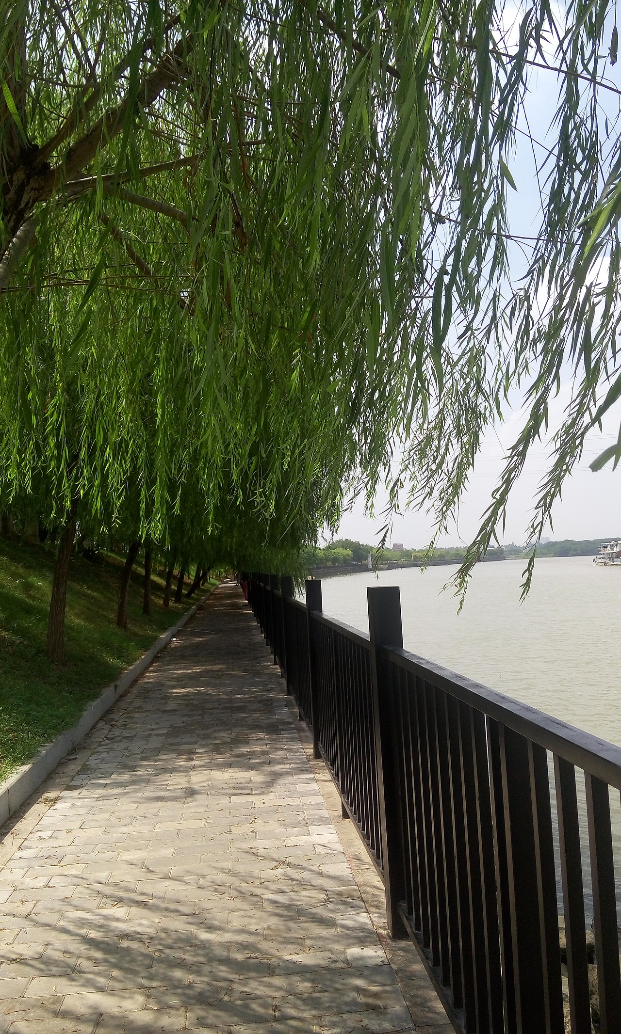 生活处处有风景