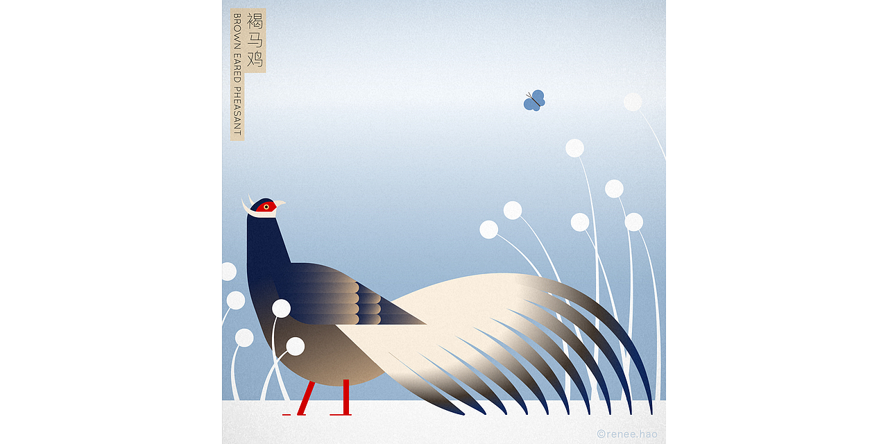 中国鸟 Birds of China - 3x3国际插画大赛获奖（图ZMjExODE3NDI4） - 艺术插画 - 站酷设计师阿好reneehao原创素材 - 站酷ZCOOL