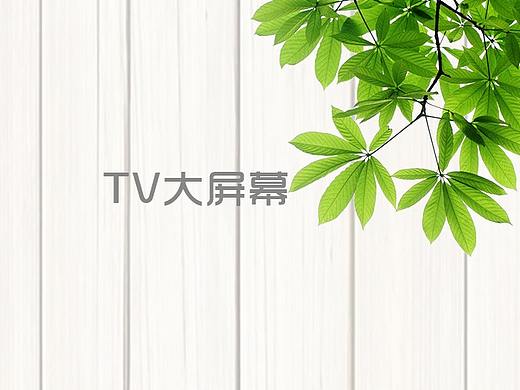 TV大屏幕