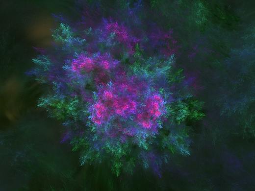 梦境般的不期而遇