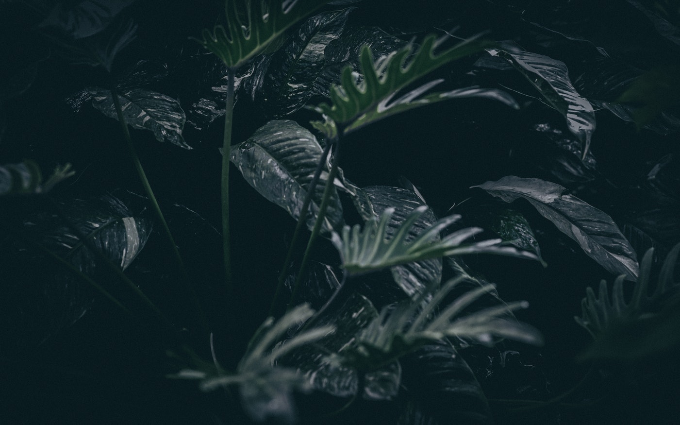 玩具大乱斗的个人主页（封面预览） - 主页封面设置 - 站酷设计师玩具大乱斗原创素材 - 站酷ZCOOL