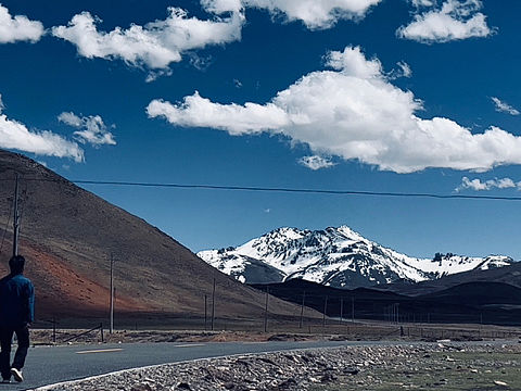 花（个人主页-ZNjYwMzY5MzY=） - 其他摄影 - 站酷设计师lanke1376原创素材 - 站酷ZCOOL