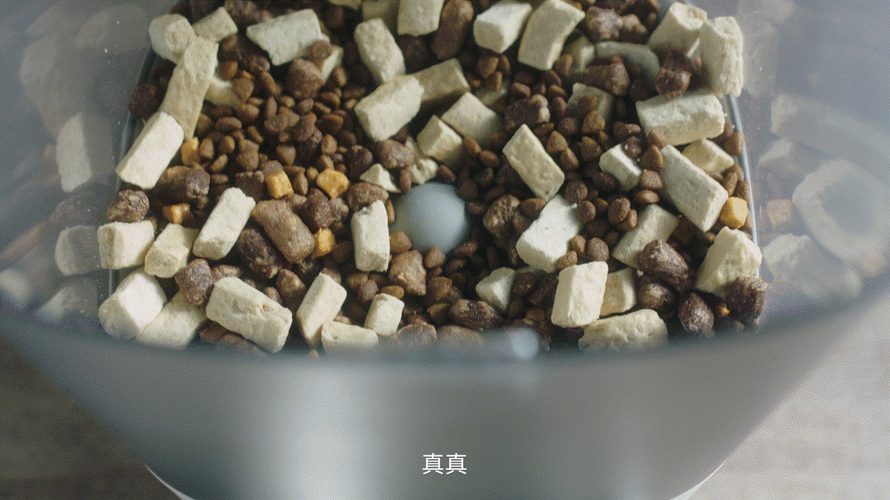 霍曼real智能喂食器