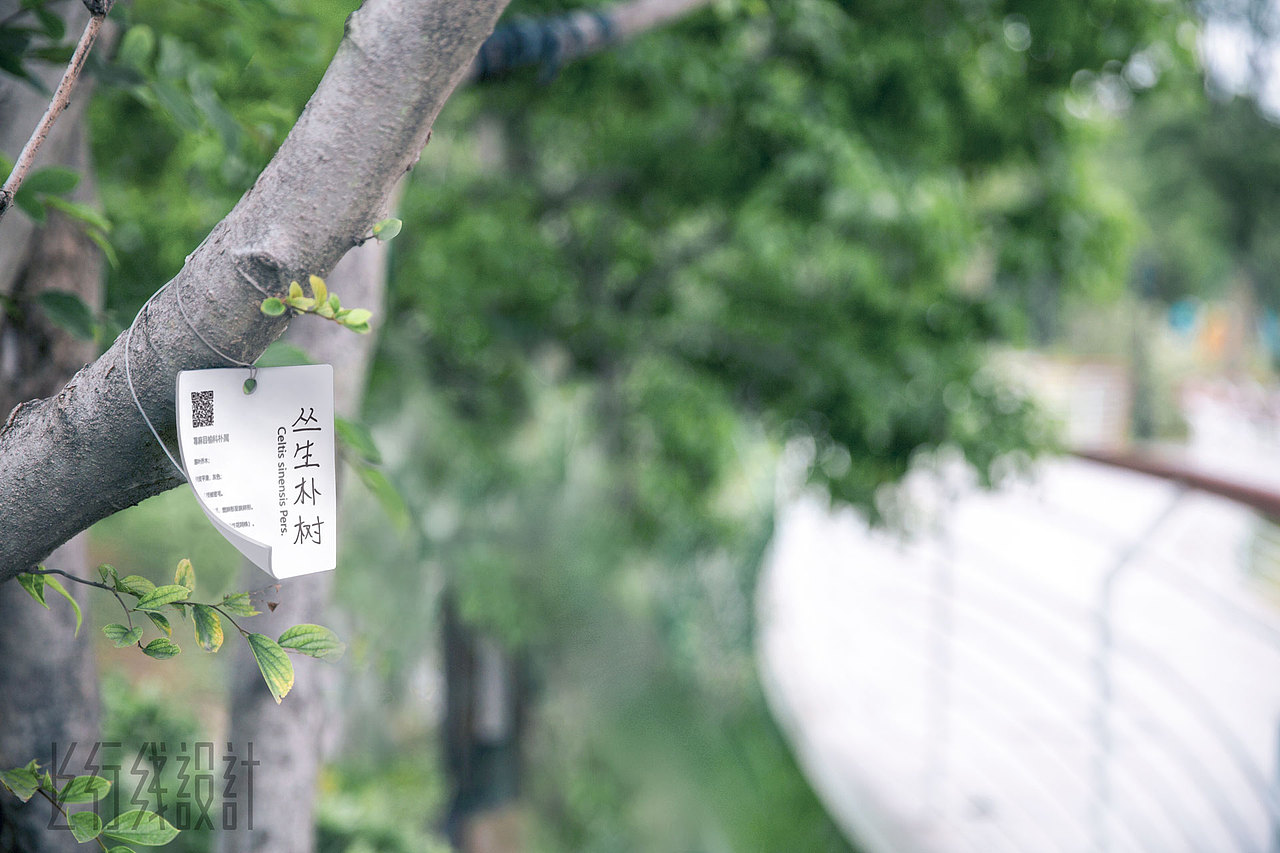 东莞保利金地领峯 · 展示区导视设计 | UPD