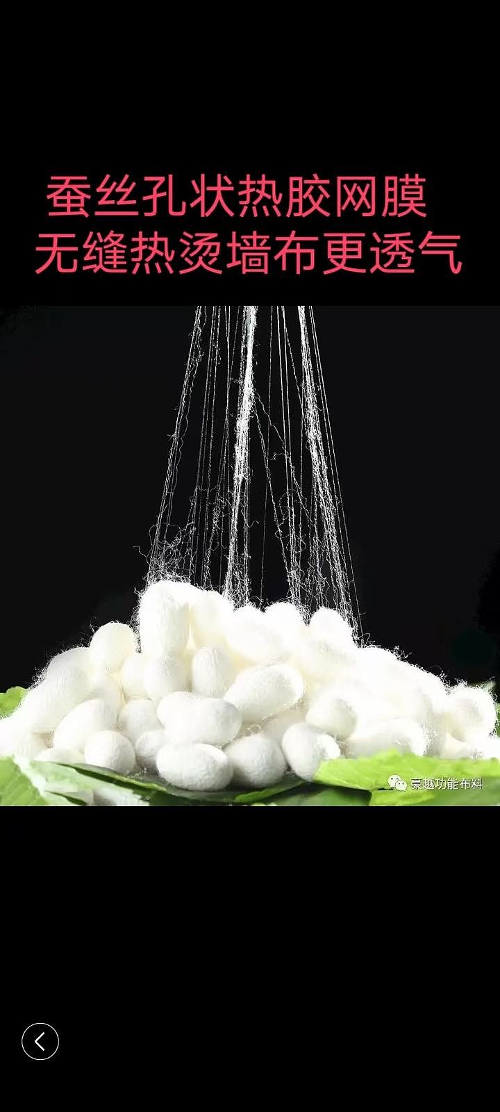 艾登堡网膜热胶墙布