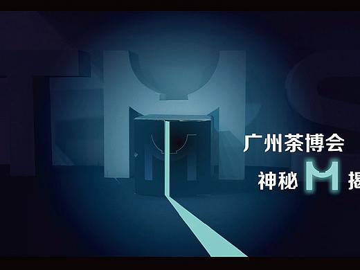 白茶品牌 TMS太姥山