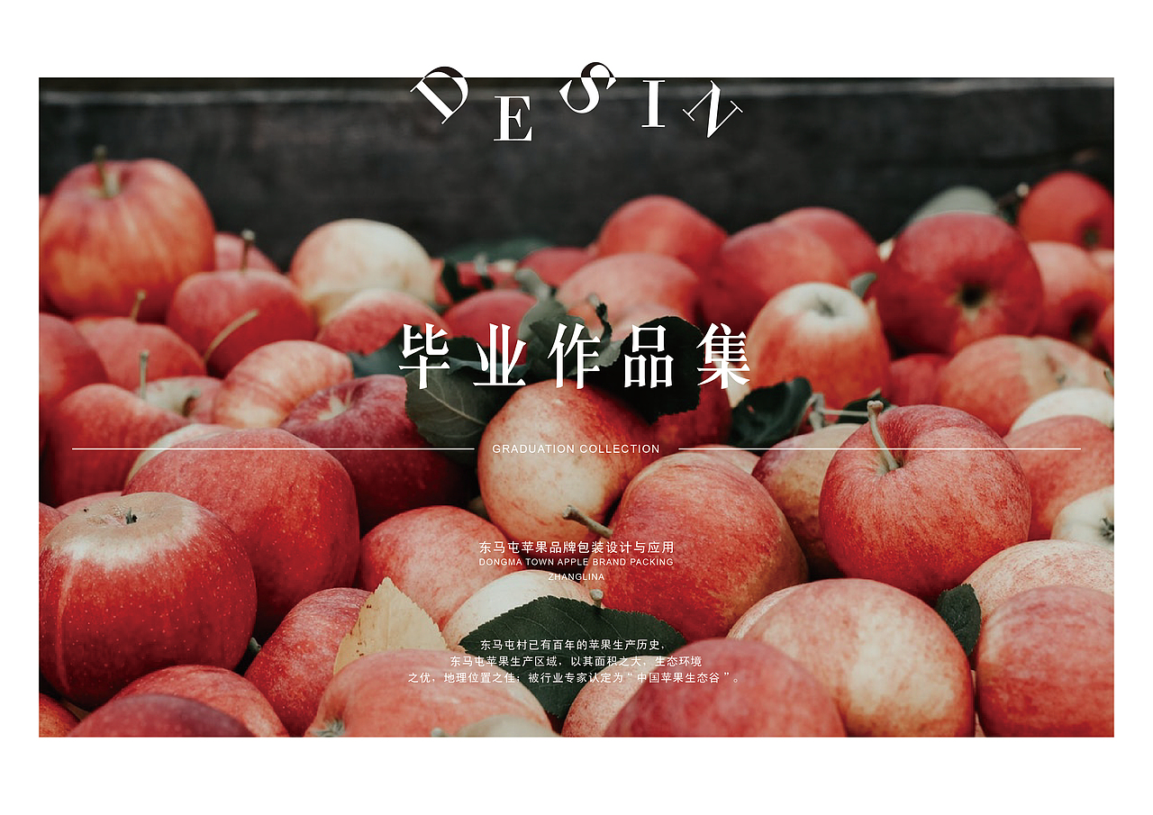 毕业手册（图ZMTY4OTc4Njcy） - 书籍/画册 - 站酷设计师zln张丽娜原创素材 - 站酷ZCOOL
