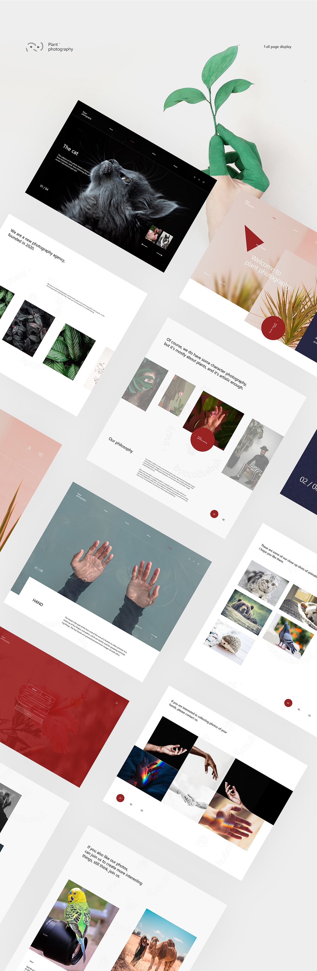 Plant Photography Web Design