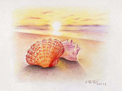 夕阳下的小贝壳