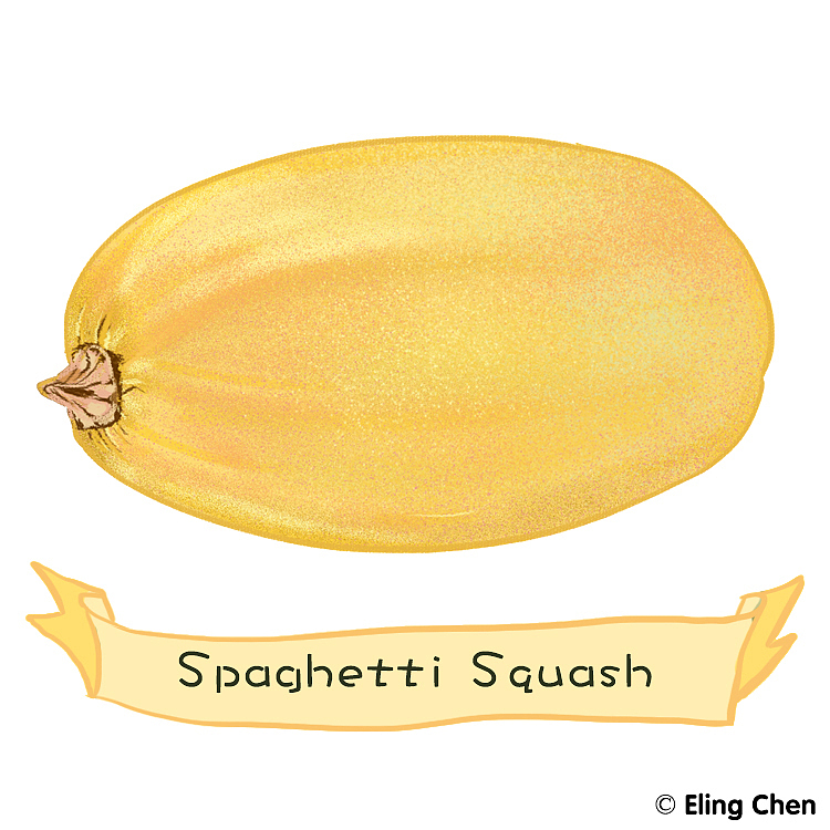 -南瓜家族系列-（图ZMTY0NDkyNzQ0） - 创作习作 - 站酷设计师ElingChen原创素材 - 站酷ZCOOL