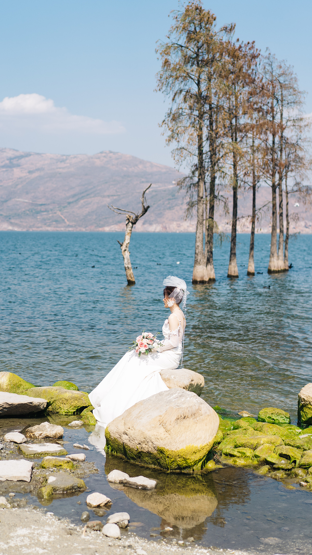 海鸥是大海带来的信物 ​​​（图ZMjU2ODc0NDQ0） - 风光摄影 - 站酷设计师一船长原创素材 - 站酷ZCOOL