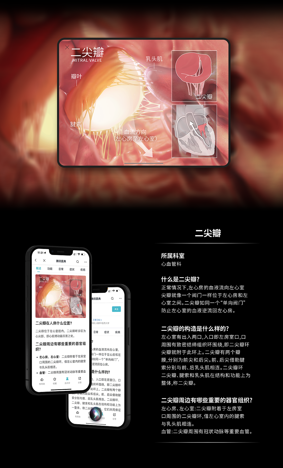 人体解剖高清海报合辑 | 医学插画（图ZMjgxNDQ5MTAw） - 商业插画 - 站酷设计师佰医绘原创素材 - 站酷ZCOOL