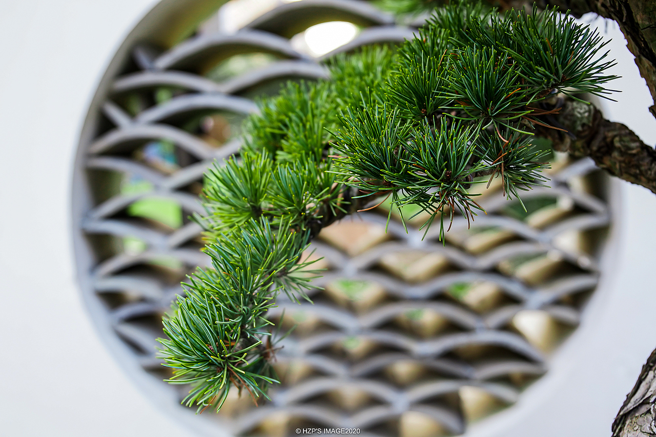 春意盎然（图ZMjAxMDE1NDgw） - 风光摄影 - 站酷设计师下乡种田帅小伙原创素材 - 站酷ZCOOL