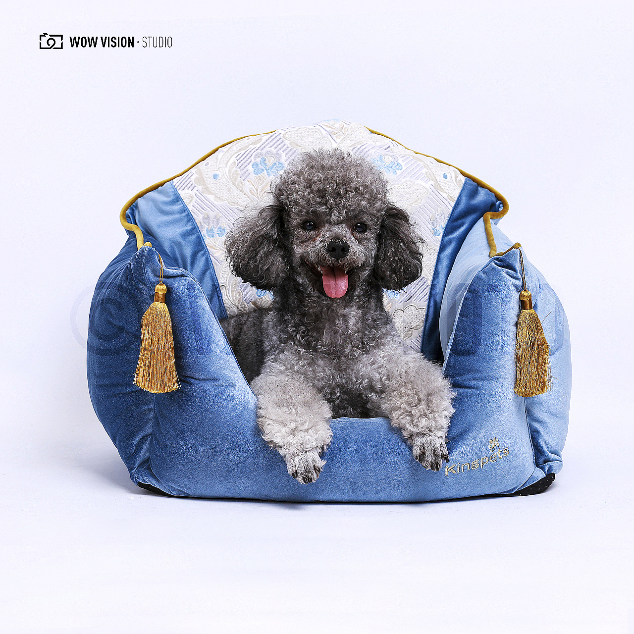 宠物用品棚拍（图ZMjUzMDcyODg4） - 宠物摄影 - 站酷设计师哇哦摄影原创素材 - 站酷ZCOOL