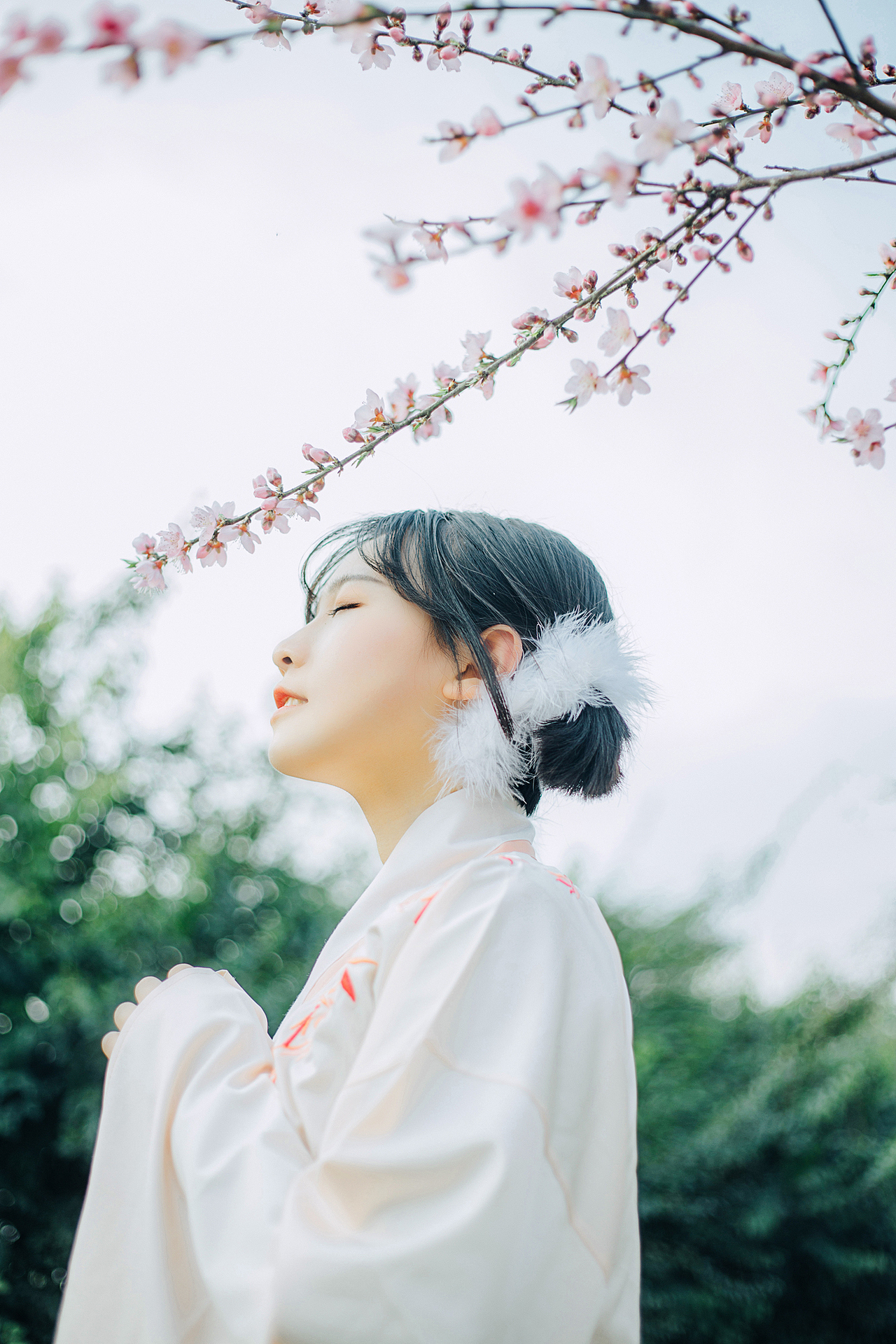 【桃之夭夭，灼灼其华】