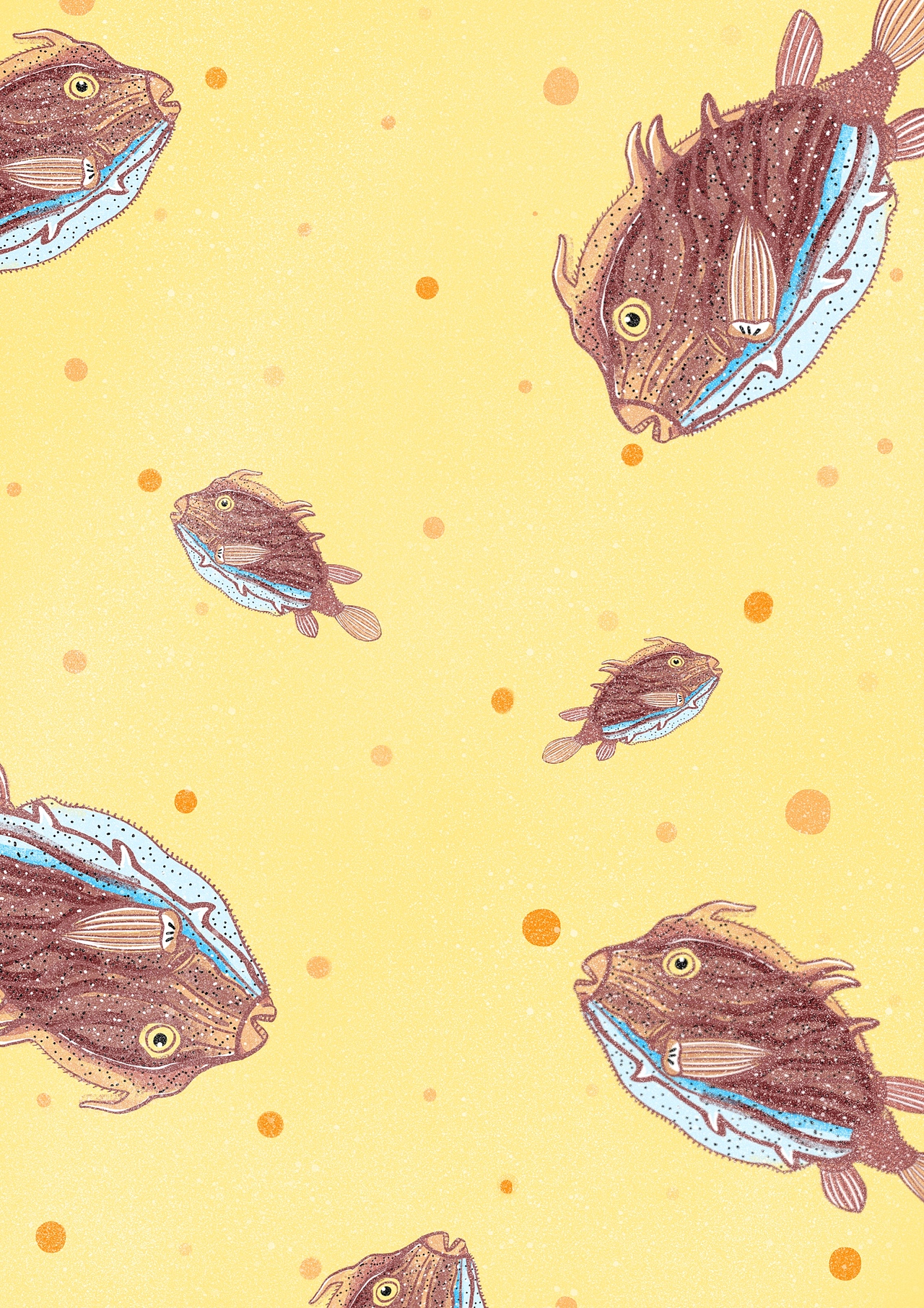 海错图笔记|插画|创作习作|momo茉酱_原创作品-站酷zcool