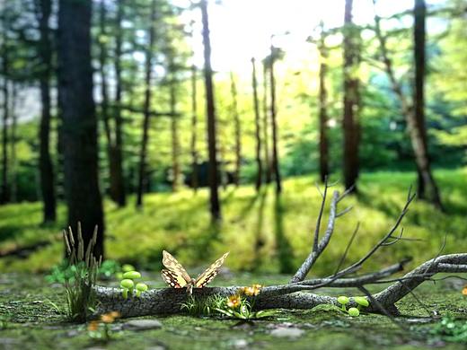 森林微景觀（個人主頁-ZMzE1MTEwMTI=） - 設(shè)定/分鏡 - 站酷設(shè)計師VFXMOU原創(chuàng)素材 - 站酷ZCOOL