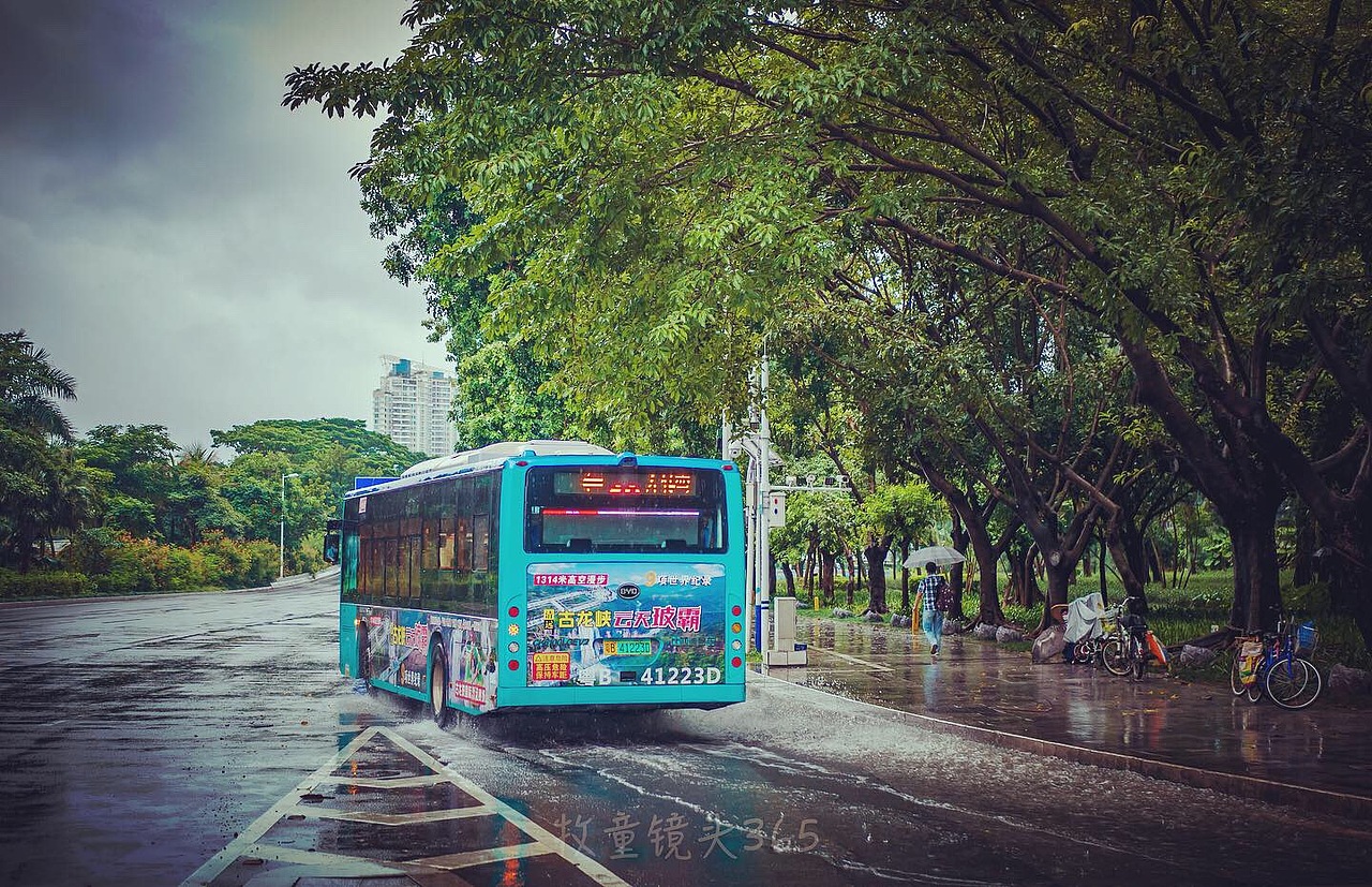 南方雨季（图ZMTczNjY2NDY0） - 人文/纪实摄影 - 站酷设计师一路记录原创素材 - 站酷ZCOOL