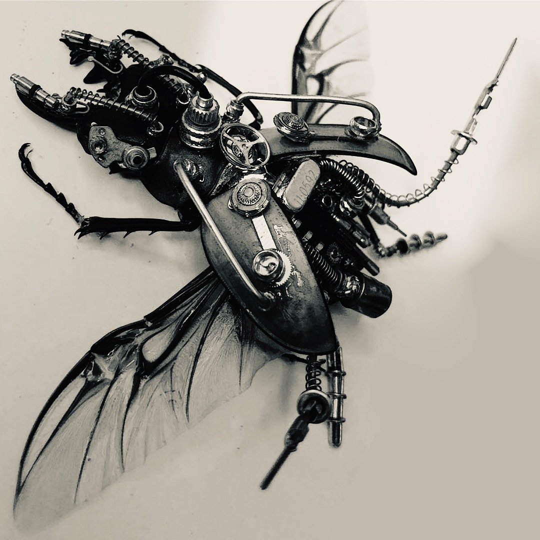 蒸汽朋克昆虫,三色鬼艳