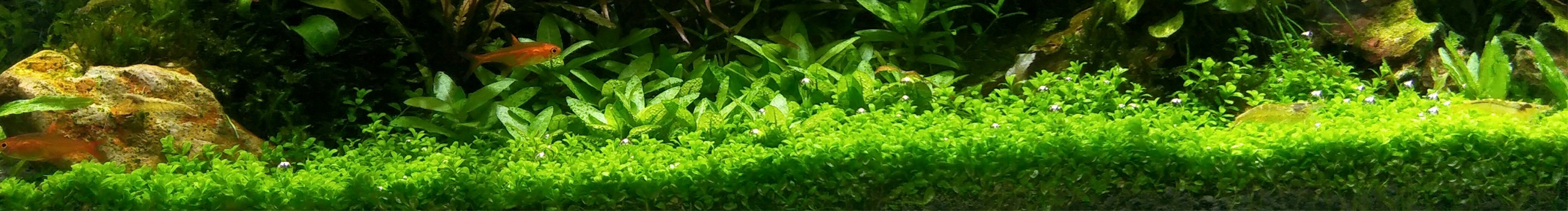 广场的个人主页（封面预览） - 主页封面设置 - 站酷设计师广场原创素材 - 站酷ZCOOL