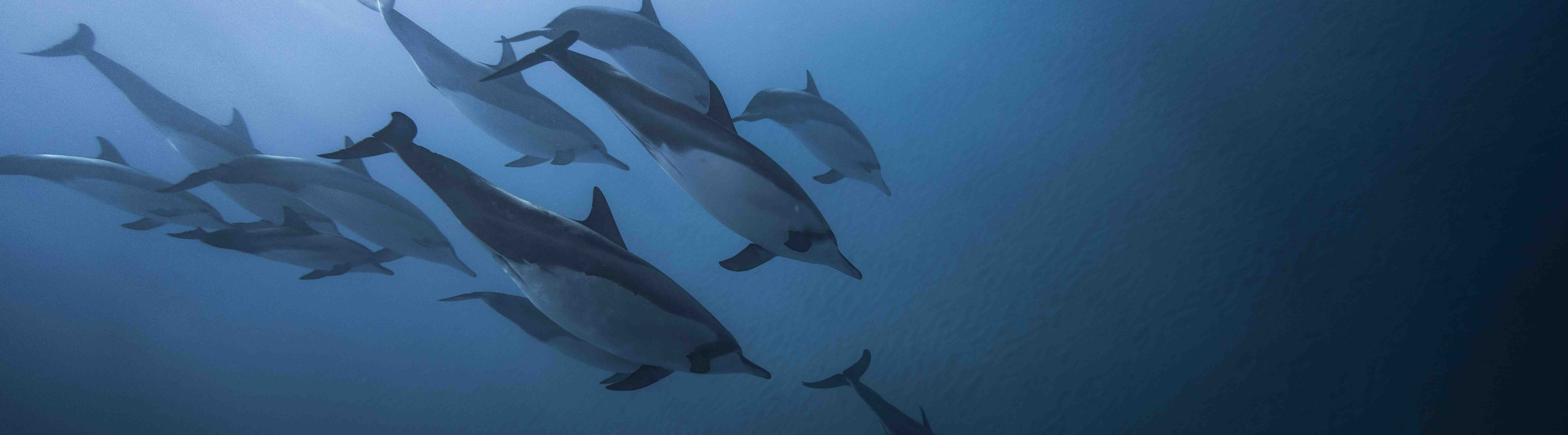 CLOTiD的个人主页（背景预览） - 主页背景设置 - 站酷设计师CLOTiD原创素材 - 站酷ZCOOL