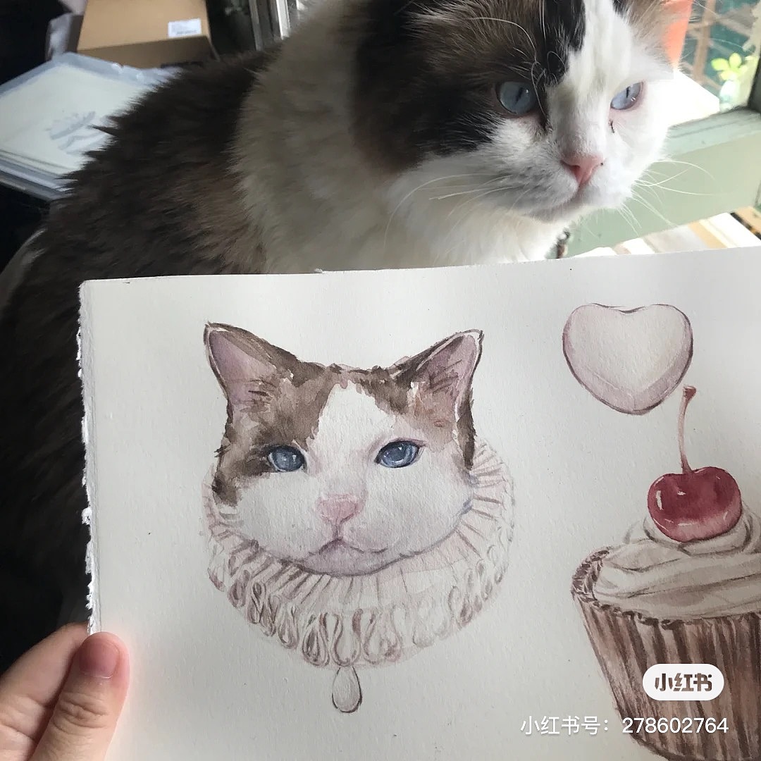 Ricky（圖ZMjYzMzUzNjcy） - 藝術(shù)插畫 - 站酷設計師麥片小貓原創(chuàng)素材 - 站酷ZCOOL