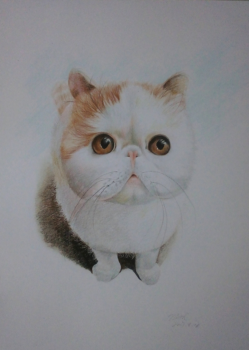 最近画的一些小画