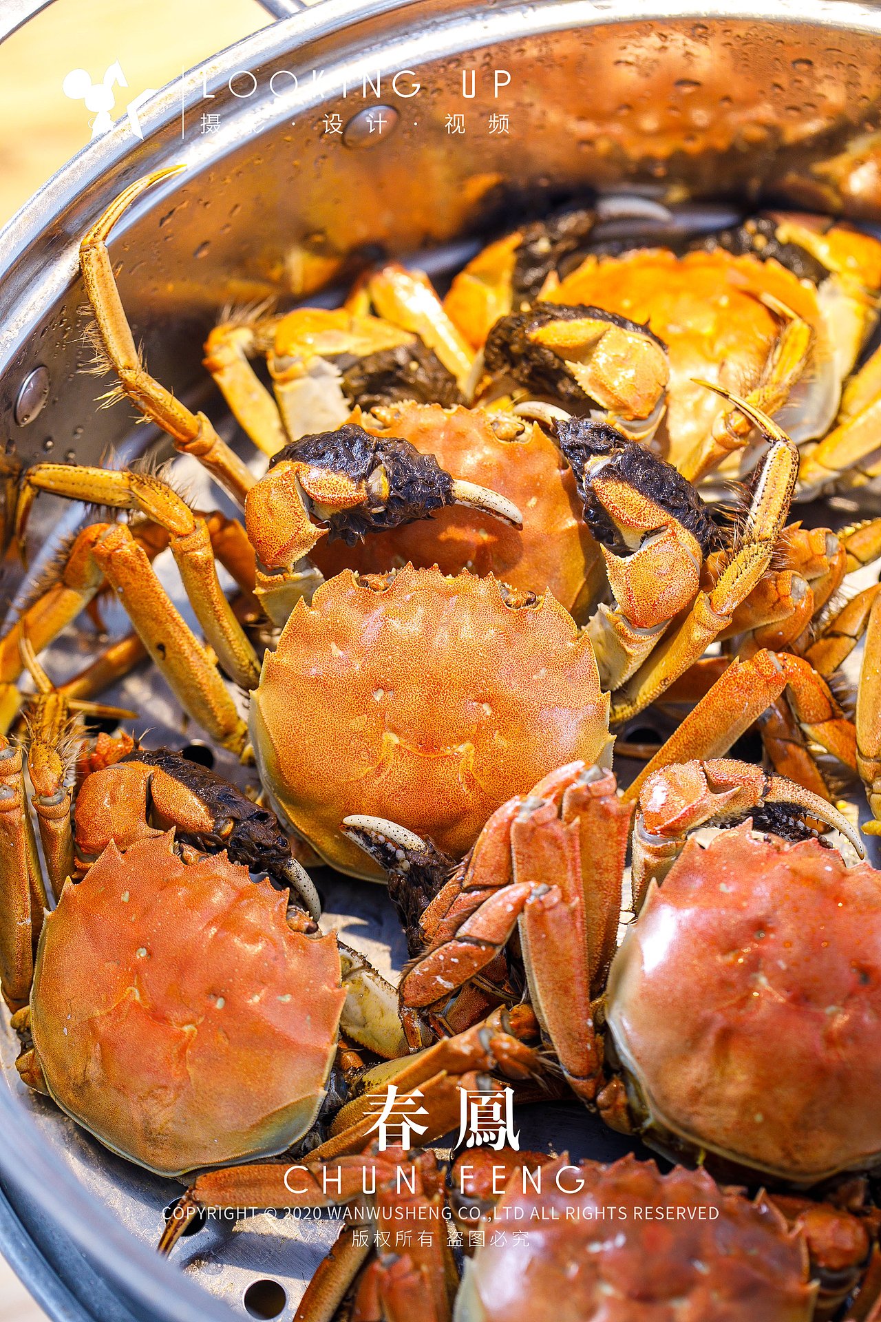 传胪天津美食摄影探店环境-吱知视觉