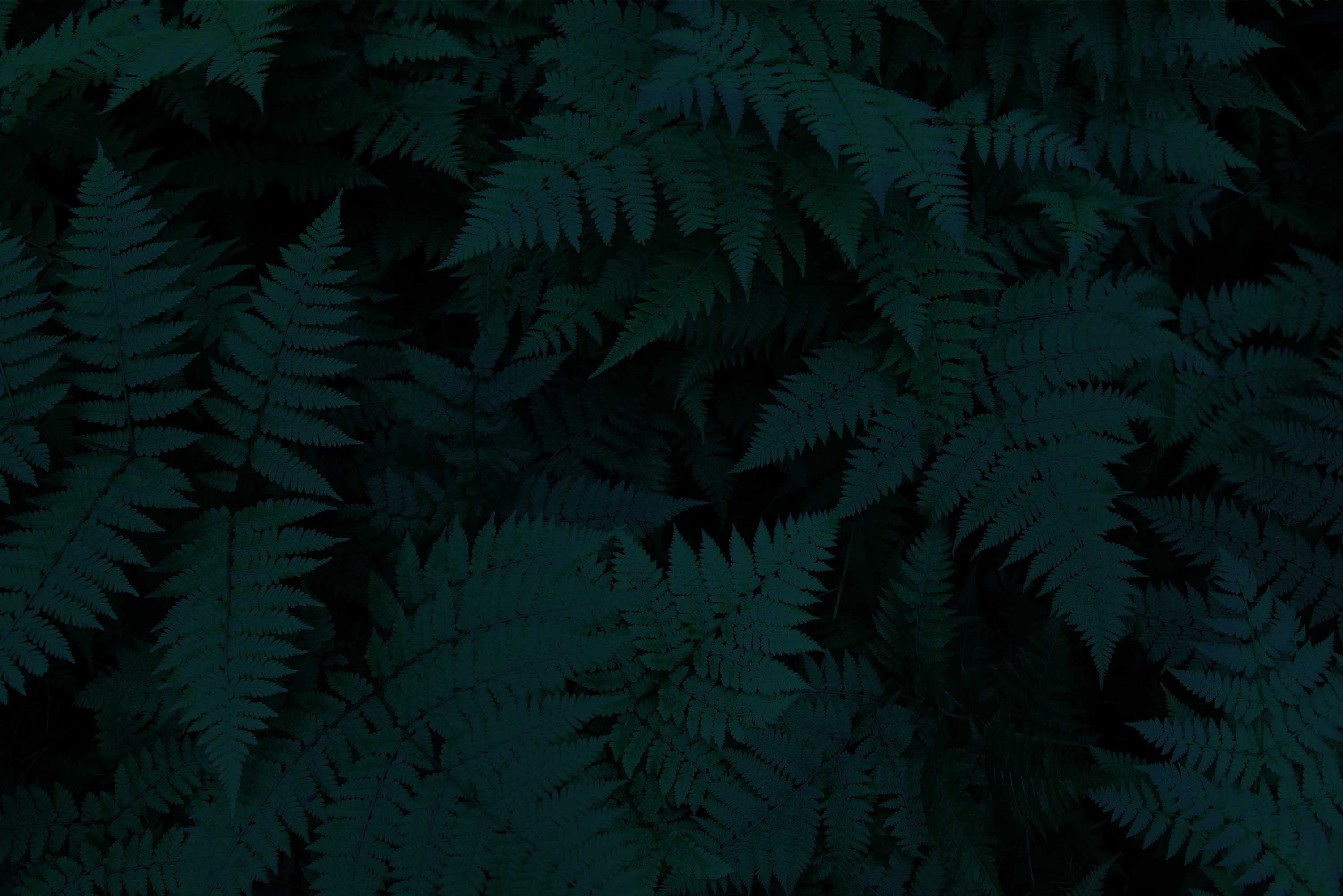 开盖有设计的个人主页（背景预览） - 主页背景设置 - 站酷设计师开盖有设计原创素材 - 站酷ZCOOL