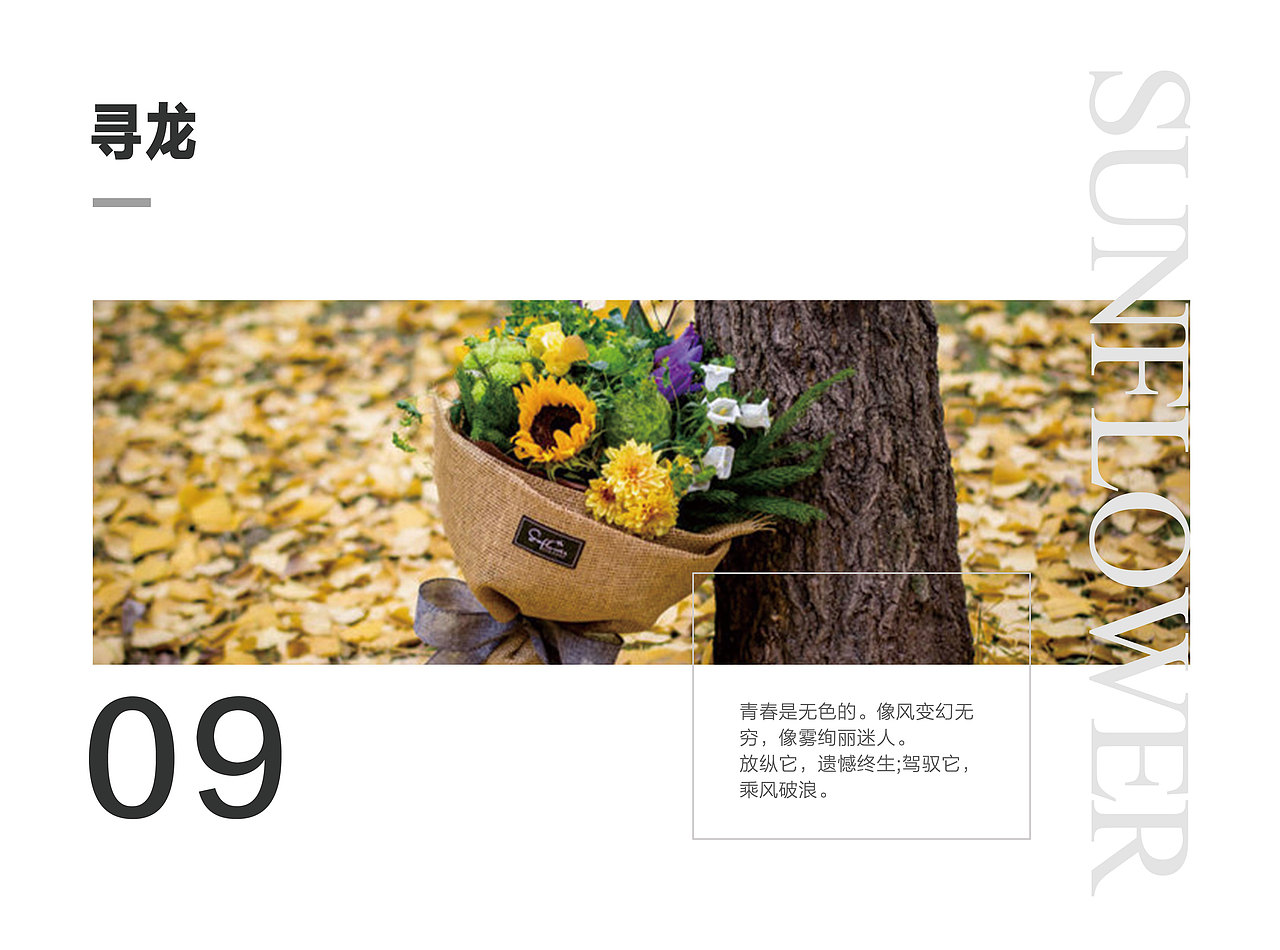 花店画册