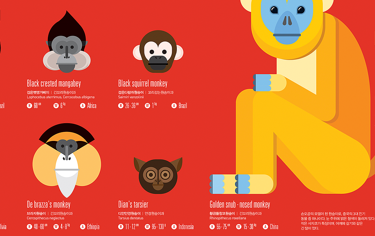 2016_01_猴子_Monkey【信息图表】