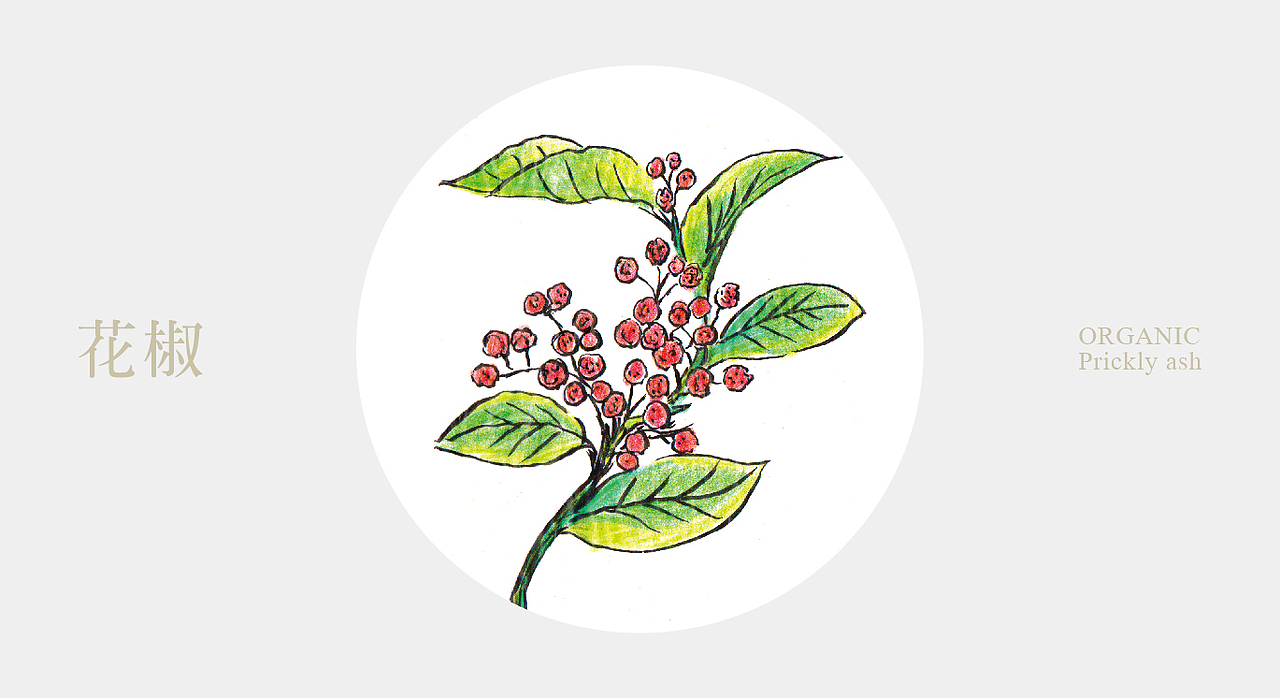 意形社 云南调料包装