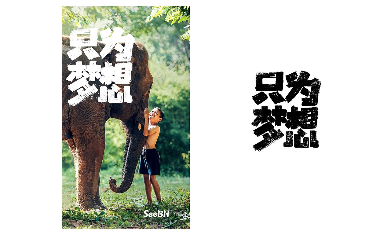 寒冰造字/字体应用40例