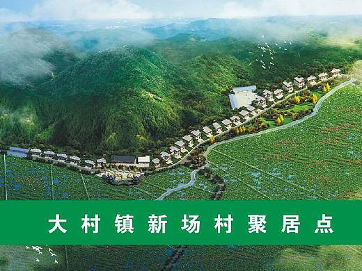 农根文化
