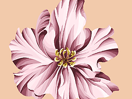 花卉练习