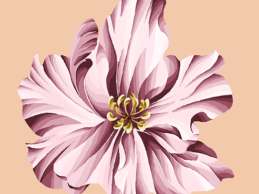 花卉练习