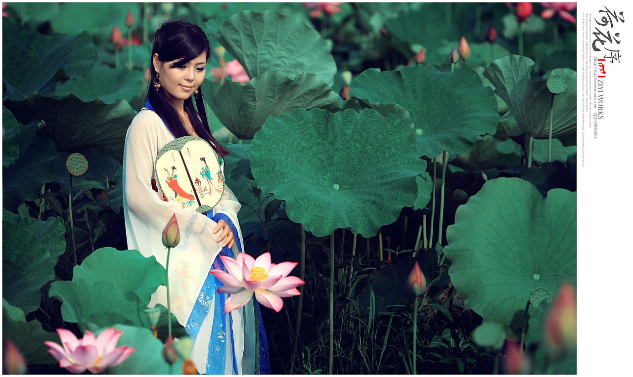 荷花序人像篇