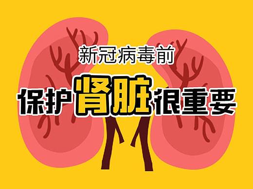 新冠病毒前，保护肾脏很重要——苏中黄葵一图看懂