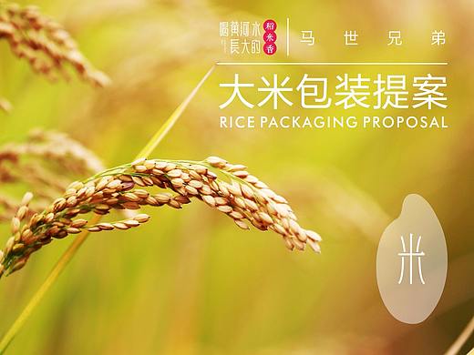 大米包装提案