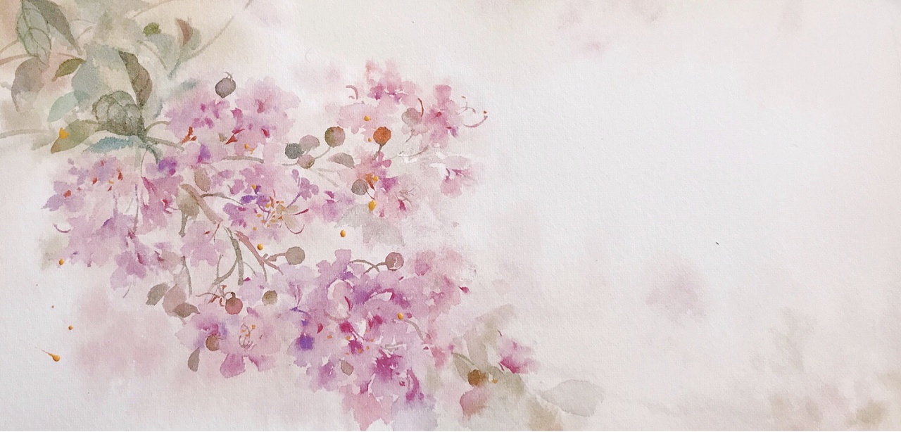 紫薇花|插画|艺术插画|浮晓壹白 - 原创作品 - 站酷 (zcool)