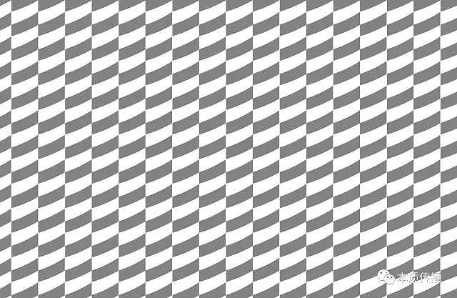 白小白餐饮品牌形象设计