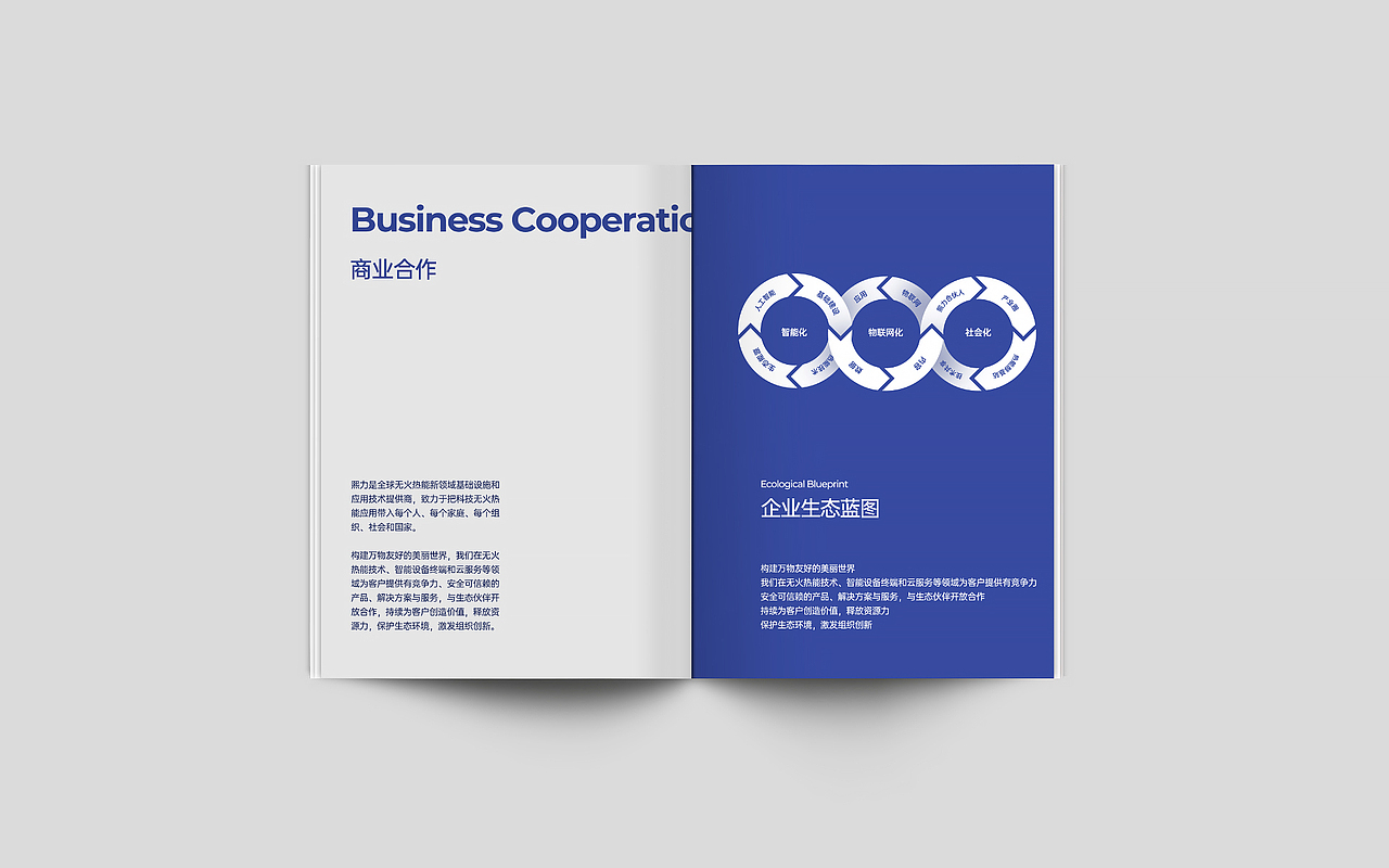 新能源品牌手册