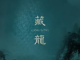 藏龙 古风歌曲海报